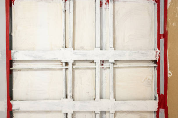 Professional Mold Removal in Canyon, TX