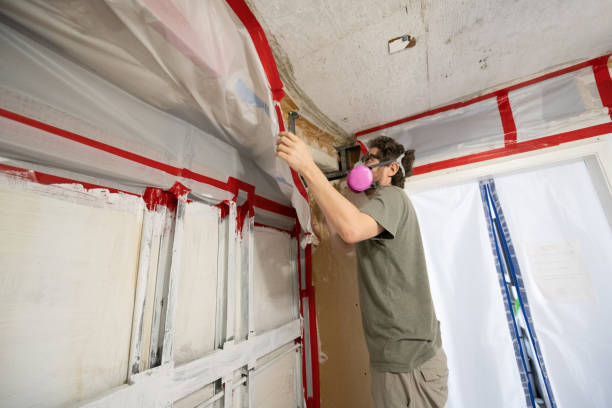 Mold Documentation for Insurance Claims in Canyon, TX